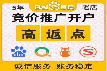 百度SEO推广公司案例分析：成功案例解析